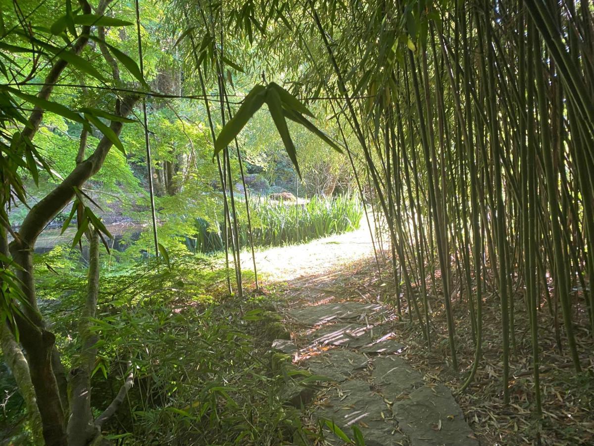 Les Moulins Du Duc Ecolodge Moelan sur Mer Bagian luar foto